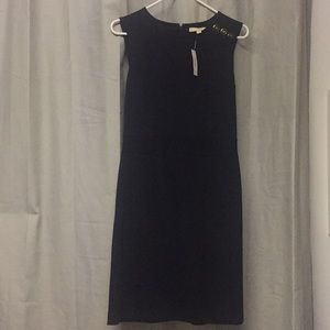 Banana Republic Navy Dress